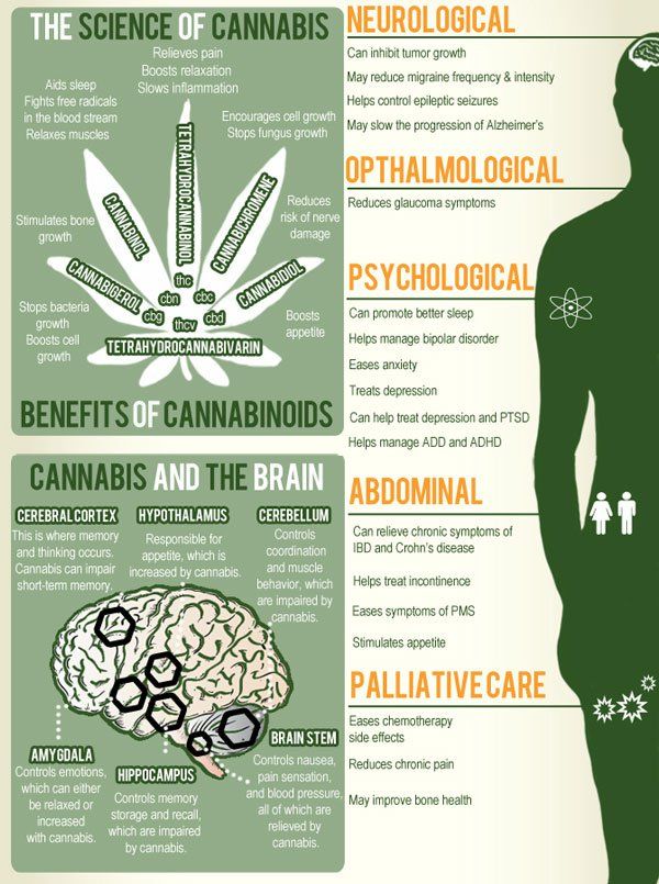 cannabis sativa oil benefits